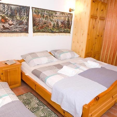 Planinca -Hisa Z Razgledom Apartment Smarje pri Jelsah Exterior foto