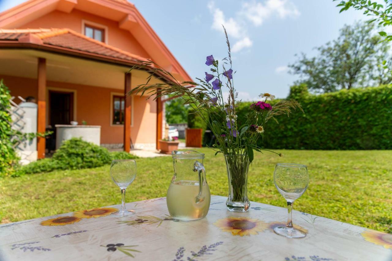 Planinca -Hisa Z Razgledom Apartment Smarje pri Jelsah Exterior foto