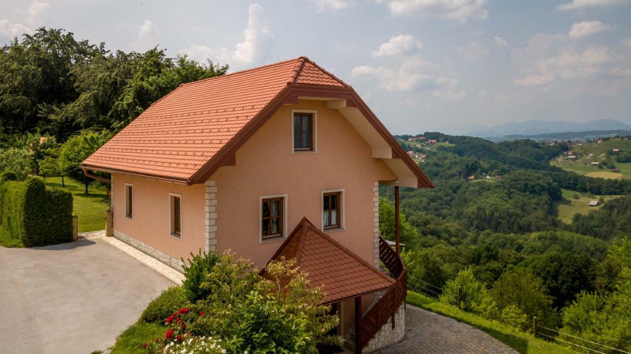 Planinca -Hisa Z Razgledom Apartment Smarje pri Jelsah Exterior foto